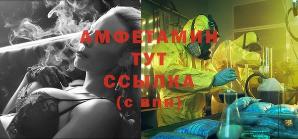 шишки Арсеньев